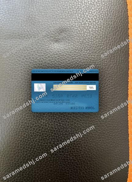 Japan Mizuho bank visa classic card photolook back
